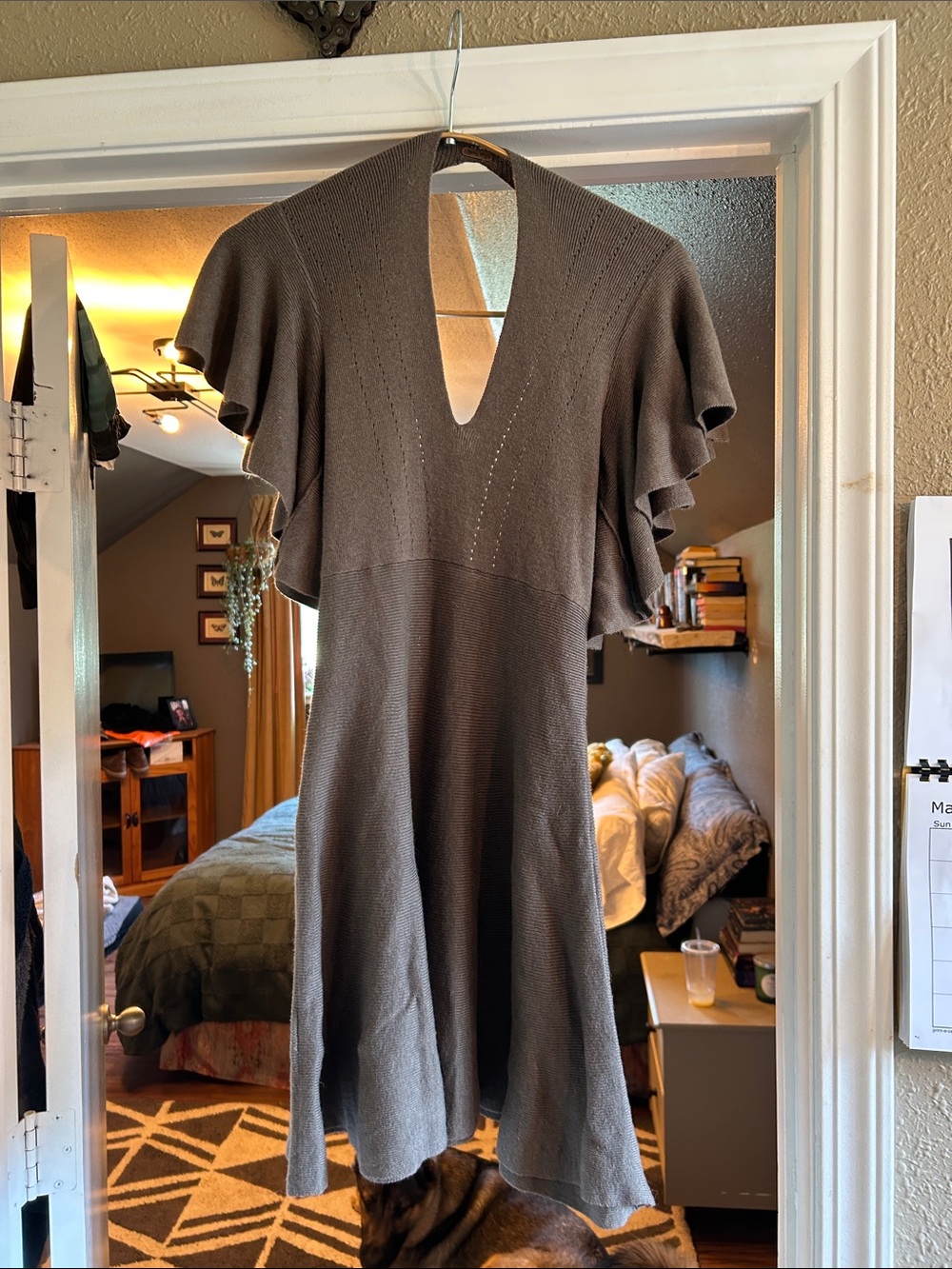Free People Brown Mini Dress with Flutter Sleeves